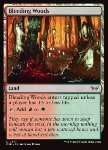 Foresta Sanguinante
