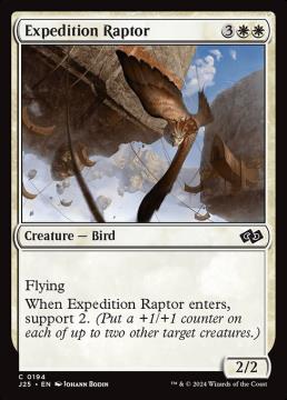 /prodotti/singles/magic/j25/expedition-raptor_796259.jpg