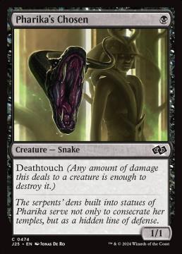 /prodotti/singles/magic/j25/pharikas-chosen_796628.jpg
