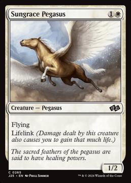 /prodotti/singles/magic/j25/sungrace-pegasus_796335.jpg