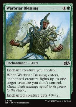 /prodotti/singles/magic/j25/warbriar-blessing_796908.jpg