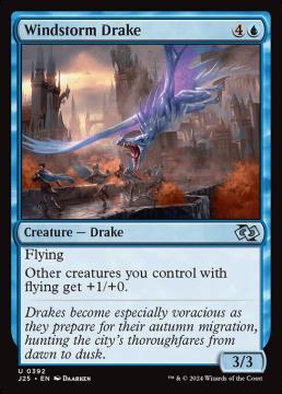 /prodotti/singles/magic/j25/windstorm-drake_796461.jpg
