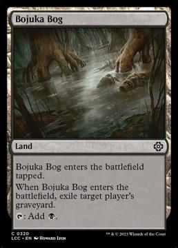 /prodotti/singles/magic/lcc/bojuka-bog_743672.jpg