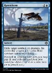 Corvimorfia