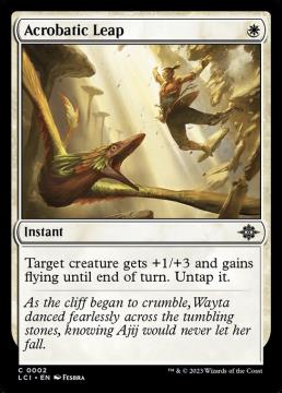 /prodotti/singles/magic/lci/acrobatic-leap_743947.jpg