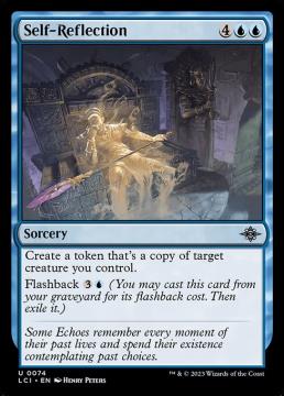 /prodotti/singles/magic/lci/self-reflection_743017.jpg
