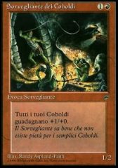 Sorvegliante dei Coboldi