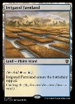 Colture Irrigate