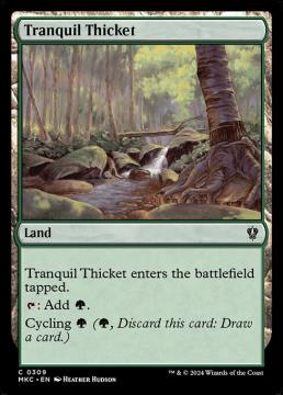 /prodotti/singles/magic/mkc/tranquil-thicket_753393.jpg