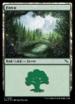Foresta