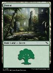 Foresta