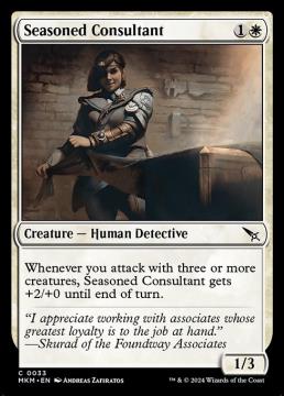 /prodotti/singles/magic/mkm/seasoned-consultant_751848.jpg