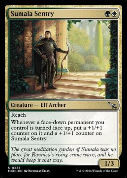 /prodotti/singles/magic/mkm/sumala-sentry_750923.jpg