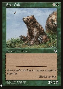 Cucciolo d'Orso