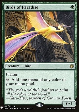 Uccelli del Paradiso
