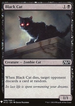 Gatto Nero