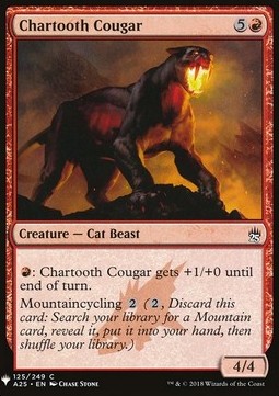 Coguaro Dentebrace