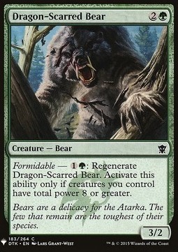 Orsa Sfregiata dal Drago