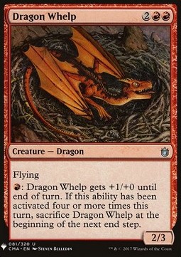 Cucciolo di Drago