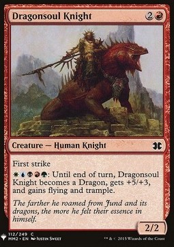 Cavaliere dell'Anima di Drago