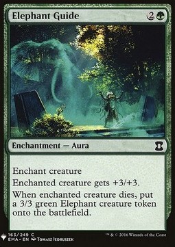 Guida degli Elefanti