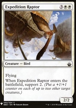 Rapace della Spedizione
