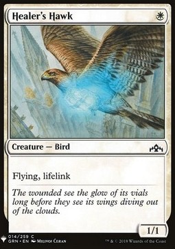 Falco del Guaritore