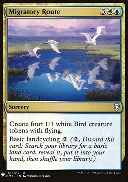 Rotta Migratoria