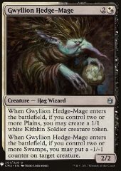 Gwyllion Maga Ambulante