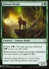 Druida di Krosa