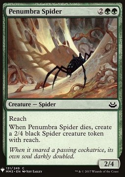 Ragno della Penombra