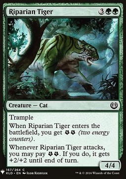 Tigre delle Rive
