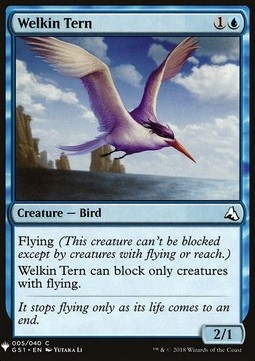 Sterna del Cielo