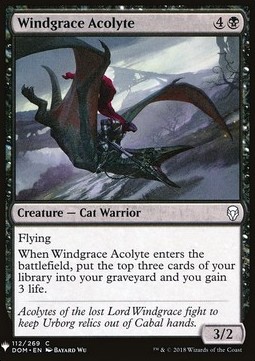 Accolito di Windgrace