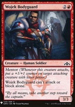 Guardia del Corpo Wojek