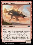 Coyote Astuto
