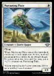 Pixie Premurosa