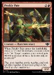 Piante Succuleste