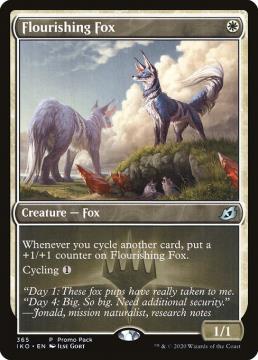 /prodotti/singles/magic/piko/flourishing-fox_453093.jpg