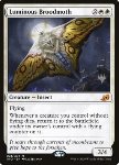 Falena della Covata Luminosa