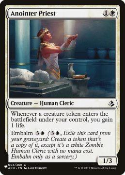 /prodotti/singles/magic/plist/anointer-priest_497615.jpg