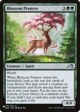 /prodotti/singles/magic/plist/blossom-prancer_718752.jpg