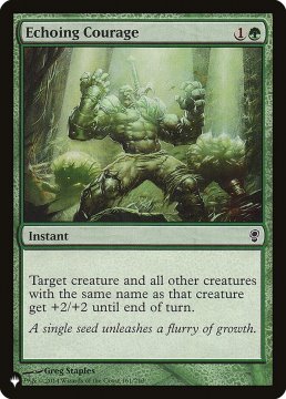 /prodotti/singles/magic/plist/echoing-courage_731662.jpg