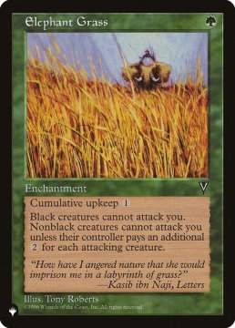 /prodotti/singles/magic/plist/elephant-grass_673920.jpg