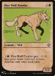 Lupo Feroce Predatore