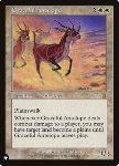 Antilope Leggiadra