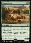 Lince Affamata