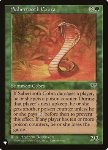 Cobra dai Denti a Sciabola