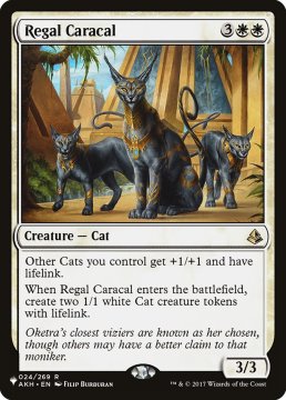 /prodotti/singles/magic/plist/regal-caracal_498635.jpg