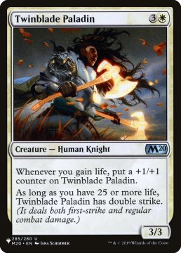 /prodotti/singles/magic/plist/twinblade-paladin_571976.jpg